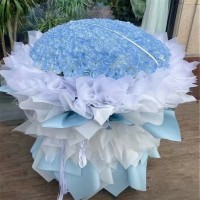 걺ʻٵ